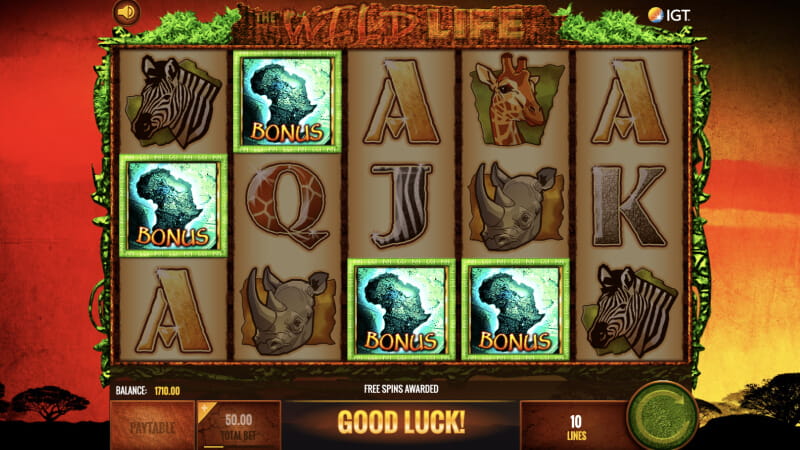 La Fente de la Vie Sauvage