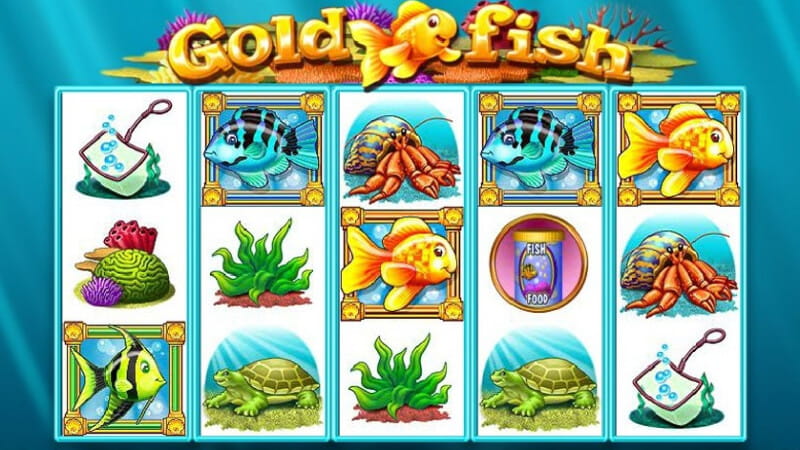 Fente de Poisson d'Or